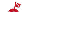 ortigia diving siracusa logo trasparente